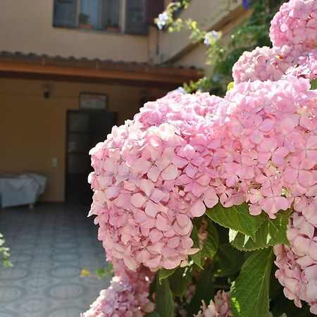 Hotel La Pineta アルボレーア エクステリア 写真