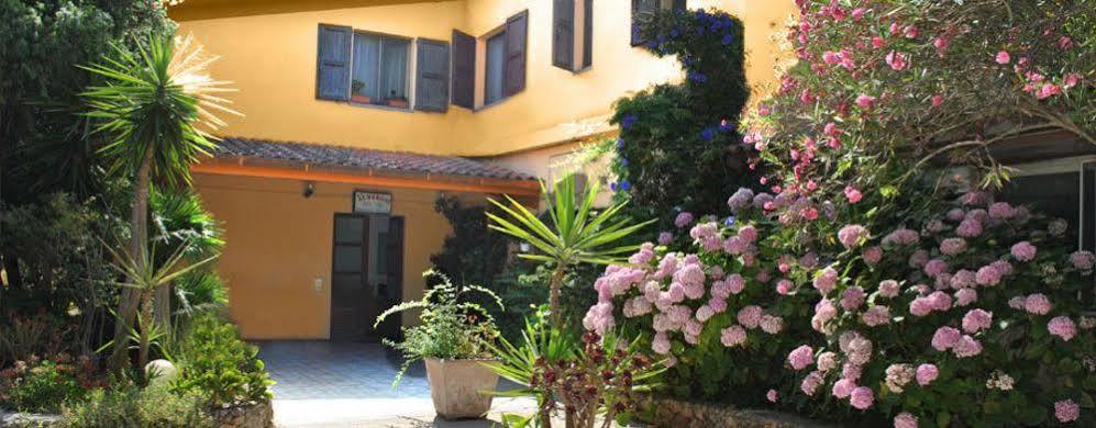 Hotel La Pineta アルボレーア エクステリア 写真